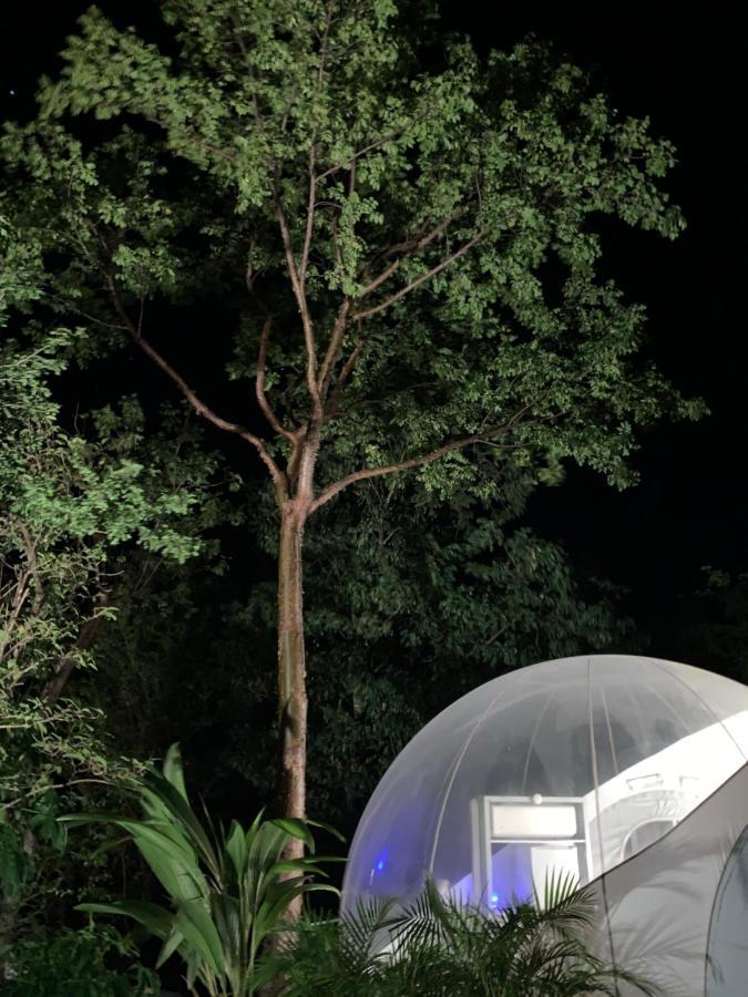 Maisons Bulles Deluxe Hotel Bouillante Kültér fotó